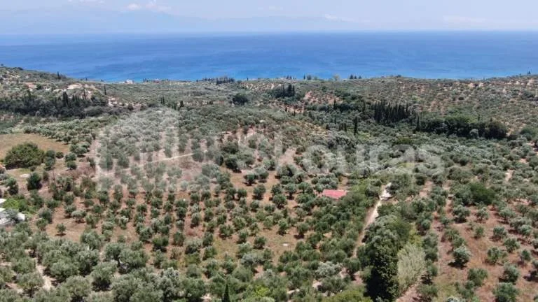 Plot 1209m²  - 5