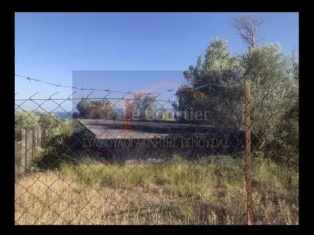 Plot 400m²  - 4