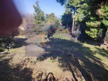 Plot 1100m²  - 2