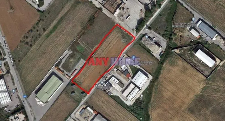 Αγροτεμάχιο 11400τ.μ.  - 2