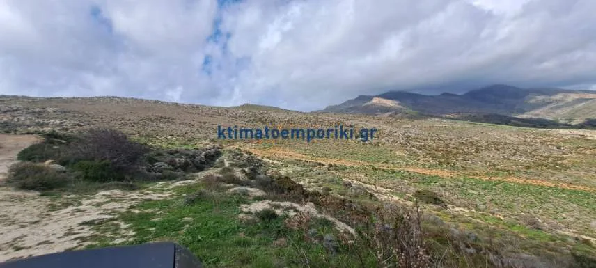 Other .. Area 89000m²  - 2