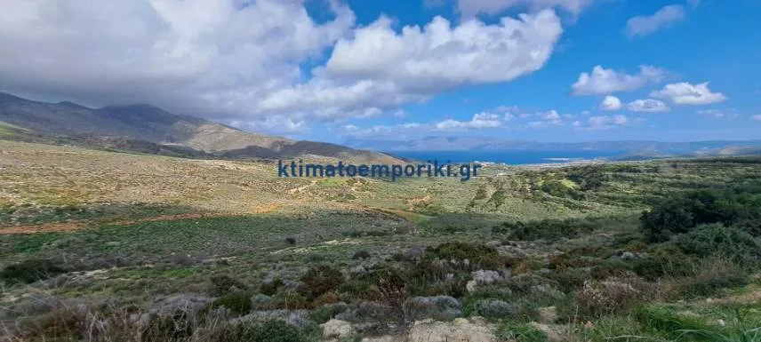 Other .. Area 89000m²  - 3
