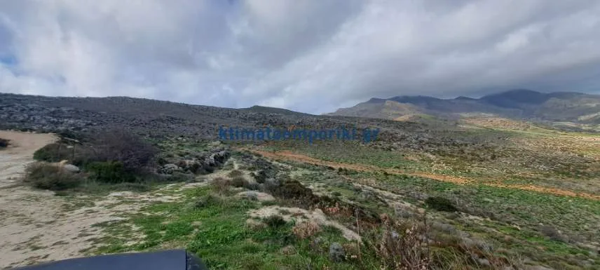 Other .. Area 89000m²  - 4