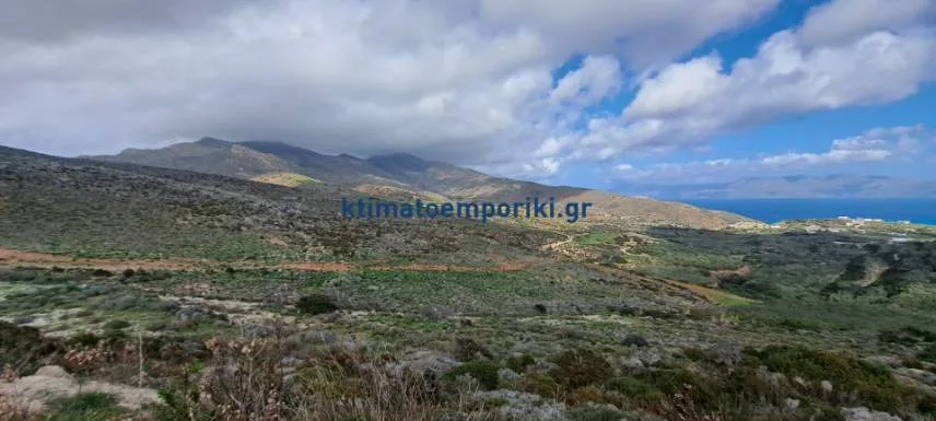 Other .. Area 89000m²  - 5