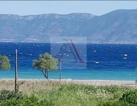 Άλλο.. 673τ.μ.  - 2