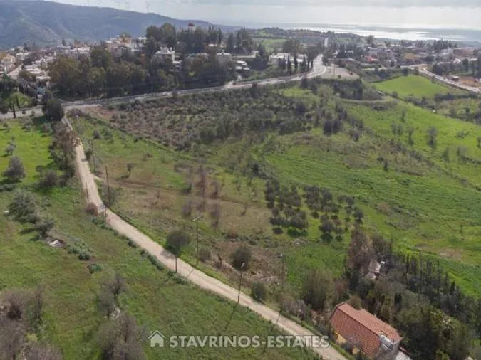 Αγροτεμάχιο 9100τ.μ.  - 4