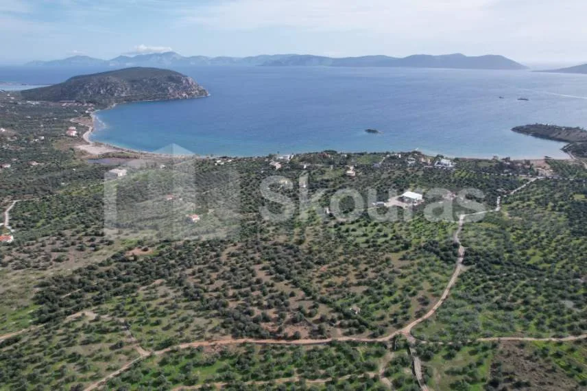 Land Parcel 24000m²  - 2
