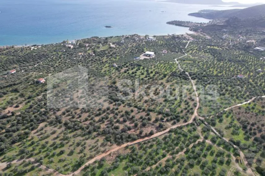 Land Parcel 24000m²  - 4
