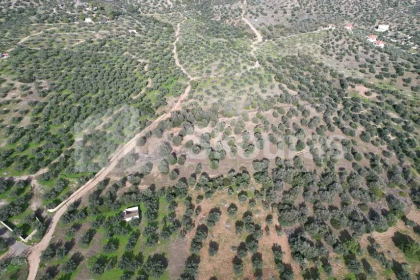 Land Parcel 24000m²  - 5
