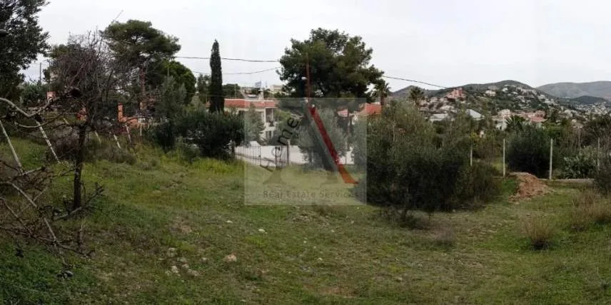 Αγροτεμάχιο 768τ.μ.  - 2