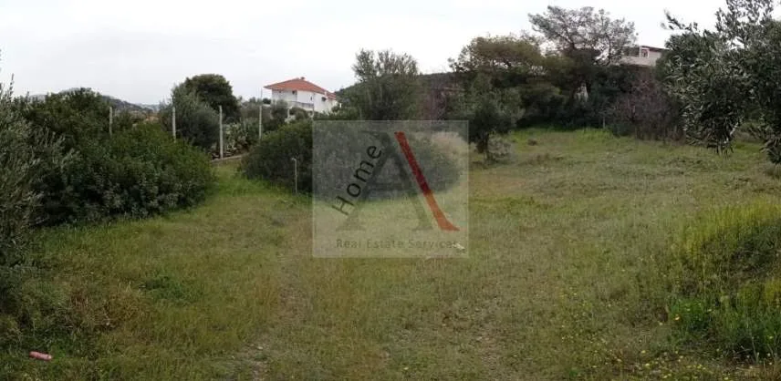Αγροτεμάχιο 768τ.μ.  - 3