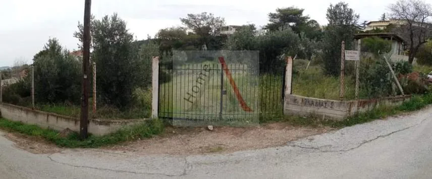 Αγροτεμάχιο 768τ.μ.  - 4