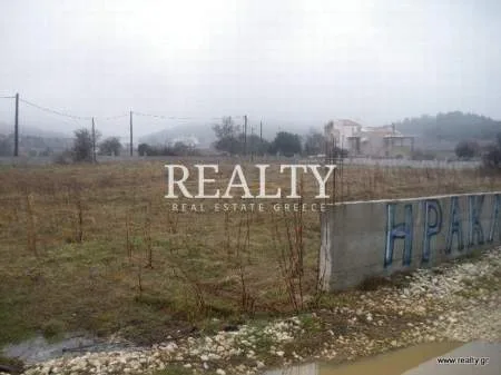 Αγροτεμάχιο 5000τ.μ.  - 4