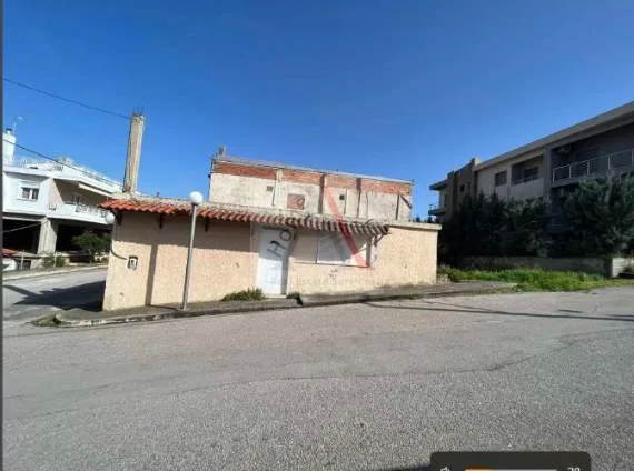 Μονοκατοικία 240τ.μ.  - 4