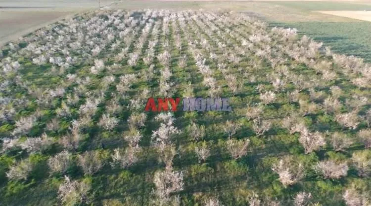 Αγροτεμάχιο 83000τ.μ.  - 2