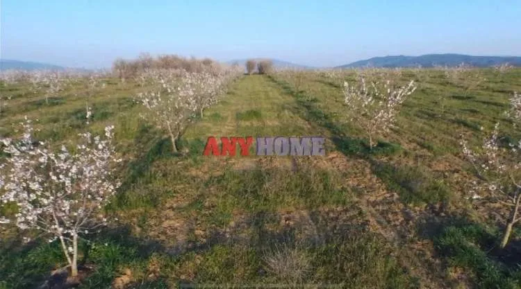 Αγροτεμάχιο 83000τ.μ.  - 5