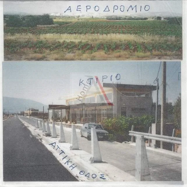 Αυτόνομο κτήριο γραφείων 200τ.μ.  - 2