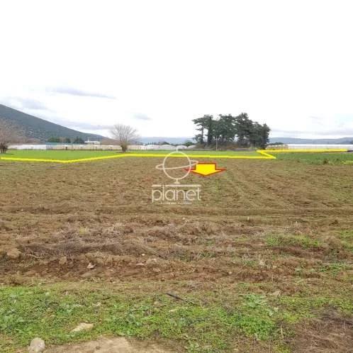 Land Parcel 5600m²  - 3