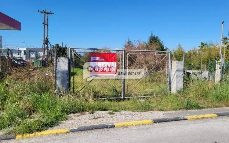 Αγροτεμάχιο 2300τ.μ.  - 5