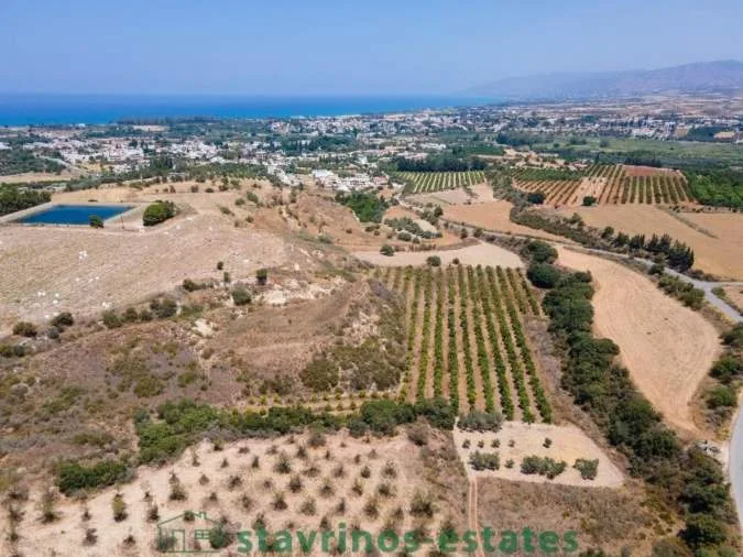 Αγροτεμάχιο 8696τ.μ.  - 2