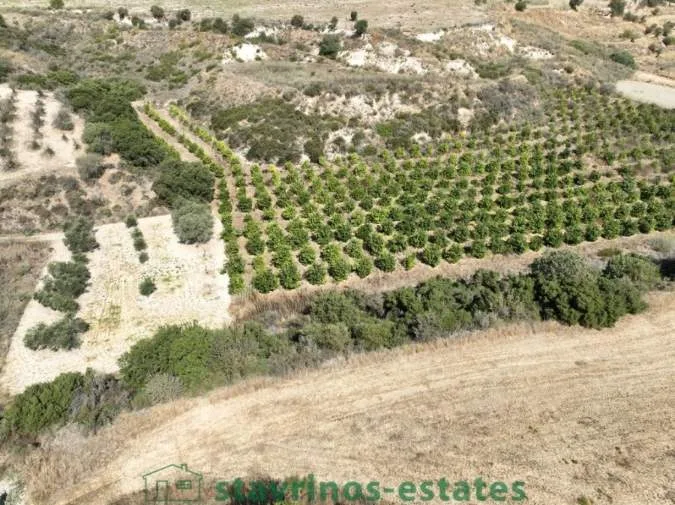 Αγροτεμάχιο 8696τ.μ.  - 3