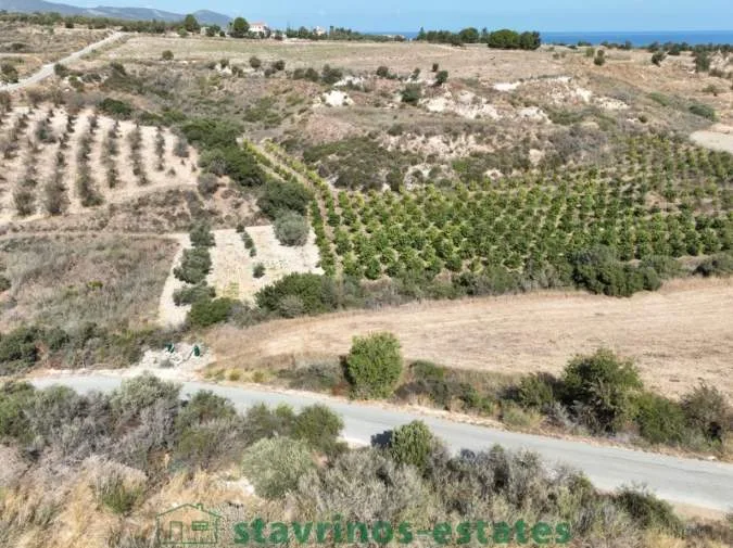 Αγροτεμάχιο 8696τ.μ.  - 5
