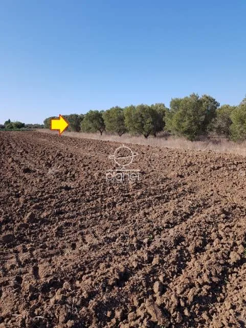 Land Parcel 5320m²  - 2