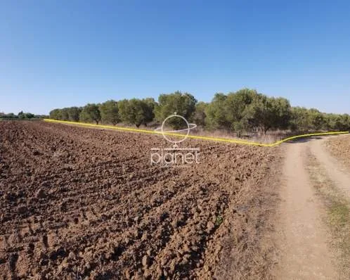 Land Parcel 5320m²  - 3