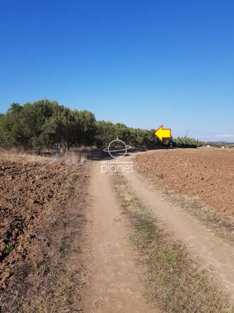 Land Parcel 5320m²  - 4