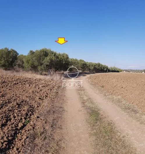 Land Parcel 5320m²  - 5