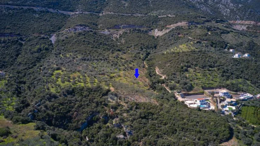 Αγροτεμάχιο 27379τ.μ.  - 4