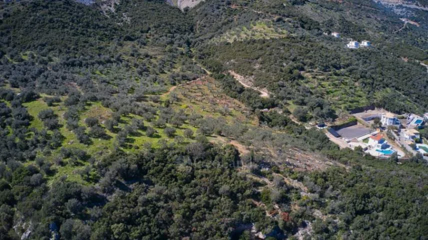 Αγροτεμάχιο 27379τ.μ.  - 5