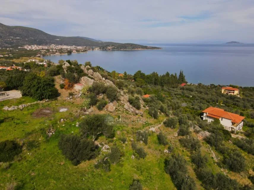 Αγροτεμάχιο 4200τ.μ.  - 3