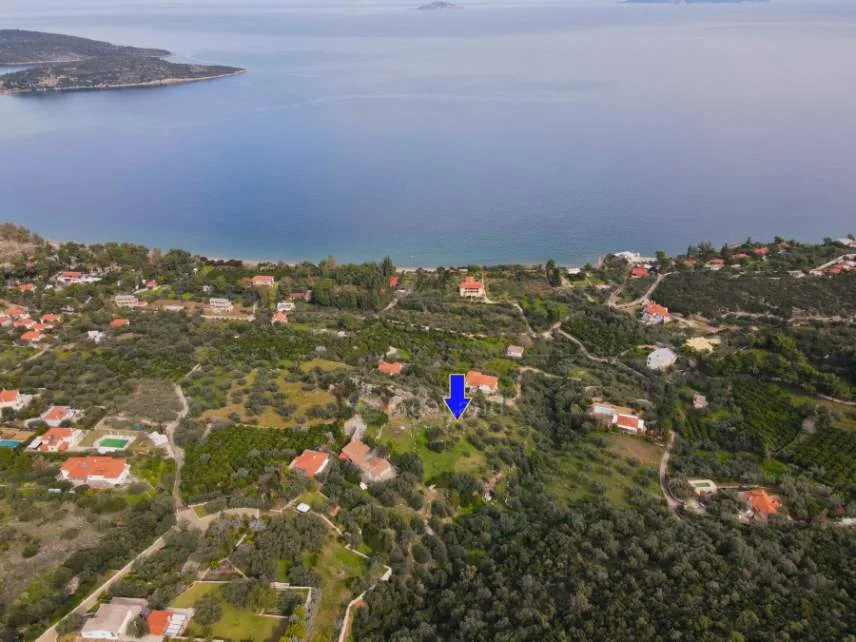 Αγροτεμάχιο 4200τ.μ.  - 4