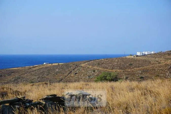 Αγροτεμάχιο 13000τ.μ.  - 3