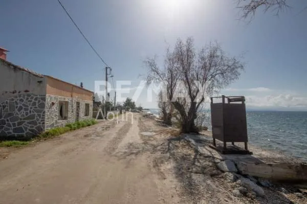 Detached house 99m²  - 3