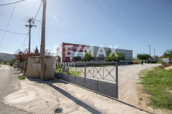 Βιοτεχνικοί / Βιομηχανικοί χώροι 620τ.μ.  - 4