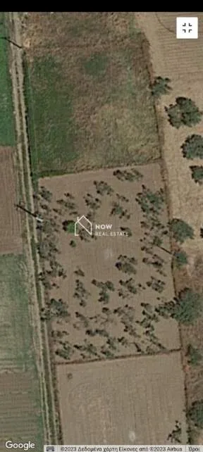 Land Parcel 1300m²  - 2