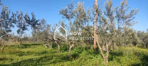 Land Parcel 1300m²  - 5