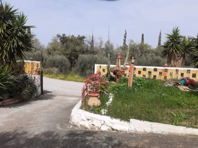 Detached house 160m²  - 2