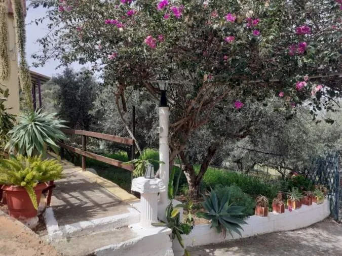 Detached house 160m²  - 5