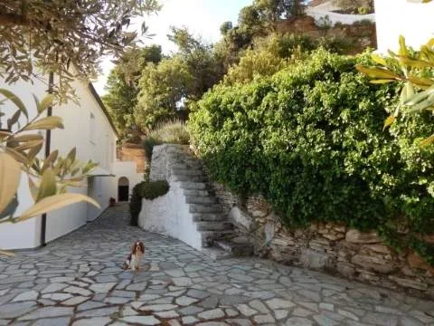 Μονοκατοικία 280τ.μ.  - 5