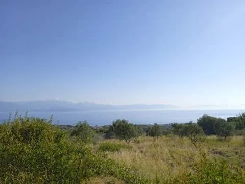 Αγροτεμάχιο 4001τ.μ.  - 3