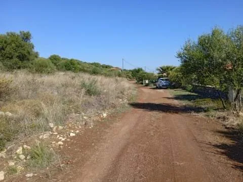 Αγροτεμάχιο 4001τ.μ.  - 5