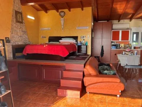 Detached house 320m²  - 3