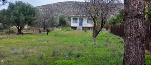 Μονοκατοικία 38τ.μ.  - 2
