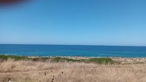 Αίθουσα / Εκθεσιακός χώρος 210τ.μ.  - 5