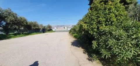 Βιοτεχνικοί / Βιομηχανικοί χώροι 1150τ.μ.  - 2