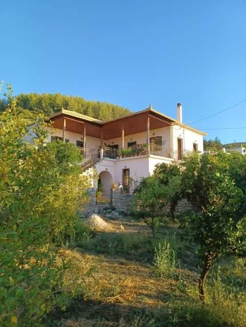 Detached house 256m²  - 3