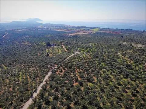 Land Parcel 6455m²  - 3